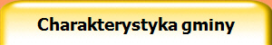 Charakterystyka gminy